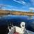 Aluminum V-Hull Fishing Boat, Trailer, Motor 3 thumbnail