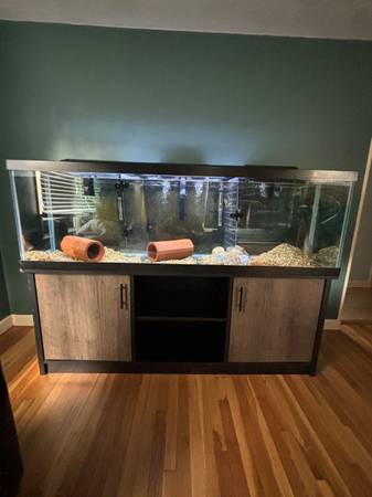 acuario de 125 galones y soporte.63670004496641120