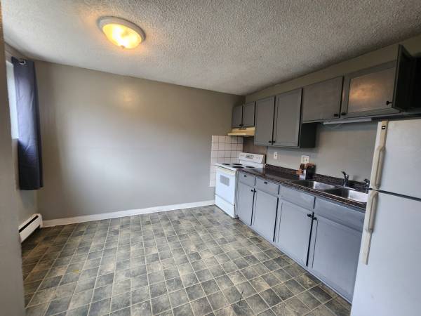 $995 / 450ft2 - Spacious Studio Unit in Aurora (Aurora)63973506242819124