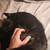 3yo Kitty, Neutered + UTD Vaccines 3 thumbnail
