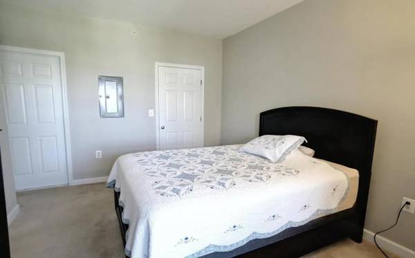 $1,000 / 1br - 1000ft2 - Sunny, quiet 1 bedroom, 1 bath near American University, Spring Valle (NW Washington, DC)64040029837697124