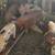 Weaner Piglets 3 thumbnail