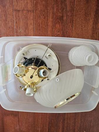 Ceiling light FREE 1