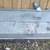81 - 87 buick regal parts hood interior door bezel fenders 5 thumbnail