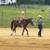 Flashy Mustang Gelding 7 thumbnail