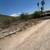 Landscaping services & Hauling  hablamos español 3 thumbnail