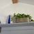 House plants 3 thumbnail