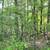 Vacant Wooded Parcel in Wisconsin Dells 13 thumbnail
