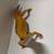 Leopard geckos 1 thumbnail