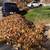 LEAF REMOVAL & CLEANUP - CURBSIDE PICKUP STARTING AT $100 3 thumbnail