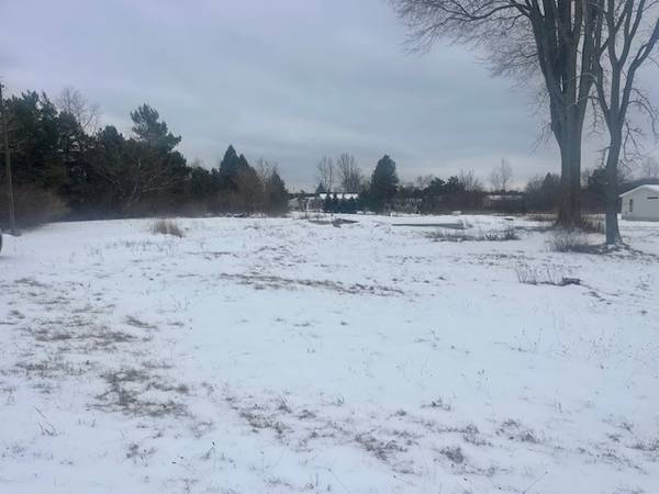 $28,000 Discover your perfect piece of land! 895 W. Moore Street (Mecosta)63793453398145121