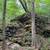 Beautiful mountain like acreage with mountain stream 14 thumbnail