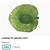 Green Leaf Fruit / Salad bowl with 5 single-serving matching plates 7 thumbnail