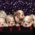 English Bulldog Puppies $1500 1 thumbnail
