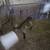 Goats for sale 6 thumbnail