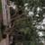 1Blk West of 101 Leucadia Encinitas Bdrm+LvngRm+pvt Bath dwnstr @Beach 11 thumbnail
