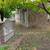 1 Bedroom Apartment - for lease at North and South Oaks in Northfield 1 thumbnail