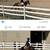 Gymkhana Large quarter pony cross 2 thumbnail