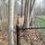 black chain link fence 3 thumbnail