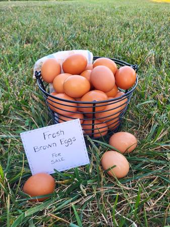 Large Farm Fresh Brown Eggs 1