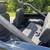 1976 Ford Bronco 302 7 thumbnail