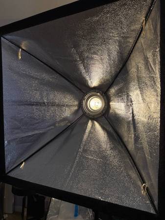 PBL Studio Lighting Kit - $99 (fairfield / vacaville)63443301144705122