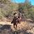 Kid/Beginner Gelding 6 thumbnail