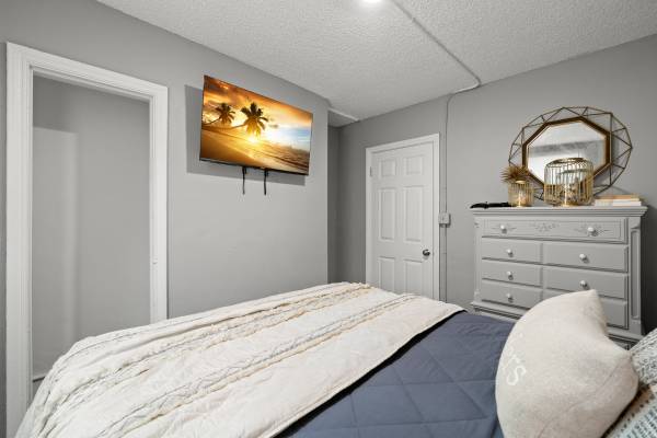 $1,995 / 2br - St Petersburg Apartment- ALL UTILITIES INCLUDED (St Petersburg)63980538863746124