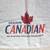 Vancouver Canucks Promo Flag Banner - Molson Canadian Sponsor 6 thumbnail