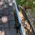 WINDOW AND GUTTER CLEANING 50$$ OFF FIRST SERVICE 14 thumbnail