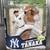 Masahiro Tanaka New York Yankees Mcfarlane Sports Picks Debut Figure 2 1 thumbnail