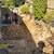 👷🚜bobcat & EXCAVATOR services yards tear out ♦️dirt ♦️sod♦️dir 13 thumbnail