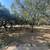 OFF MARKET CANYON LAKE CONDO SELLING 190K UNDER TAX VALUE! 4 thumbnail