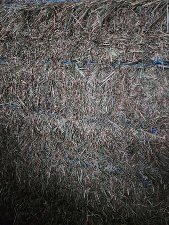 2 tons 2nd Cutting Orchard Grass Delivered 1