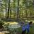 Charming open-plan ranch 3 thumbnail