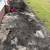 FREE BLACK MULCH 4 thumbnail