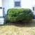 Fall cleanups, landscaping, paver patios, more! 6 thumbnail
