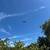 Knoll-Top Orchard Estate Setting In The Corralitos Foothills! 18 thumbnail