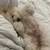 Pupp 1 thumbnail