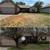Tree Removal & Stump Grinding 8 thumbnail