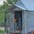 Chicken Coop and Chickens 3 thumbnail