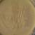 Antique Roseville Clematis Green Pottery Basket Bowl circa 1944 7 thumbnail
