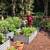 Best Price, Best Quality Landscaping and Fall Cleanups 2 thumbnail