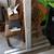 Liko FreeSpan Free-Standing Patient/Hoyer Lift System 5 thumbnail