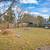 Charming 3 Bed/1 Bath Duplex one side in Jacksonville, FL - $1700/mo 15 thumbnail