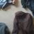 Coats for sale click "more ads by this user" 3 thumbnail