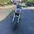 2025 Indian 101 Scout Ghost White Metallic with Graphics 3 thumbnail