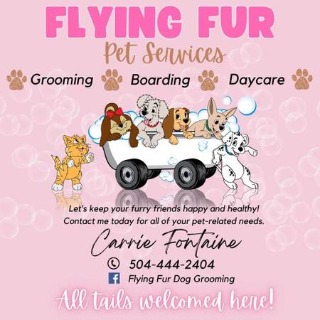 Dog and cat grooming, boarding, and Daycare63988255504258120