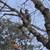Affordable tree care 1 thumbnail