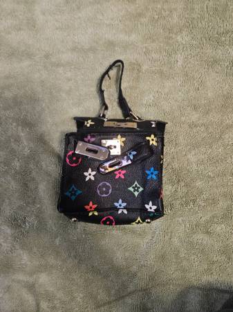 Louis Vuitton small multi color bag 1